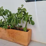 La Casa De Palomitas Apartment Corralejo